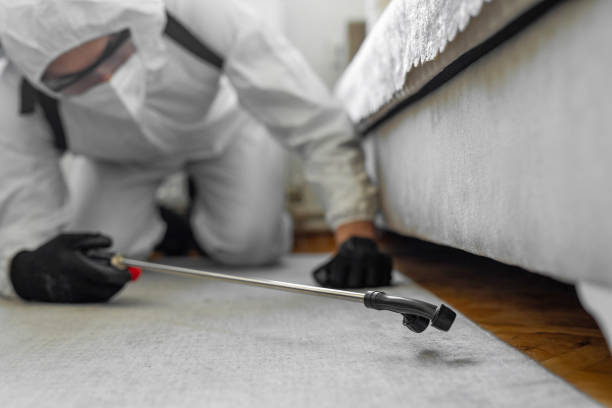 Professional Termite Control technician working in Charter Oak, CA