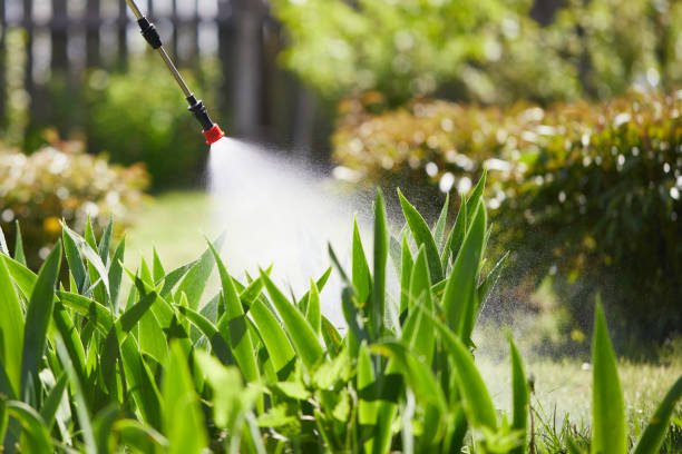 24/7 Emergency Termite Control experts in Charter Oak, CA